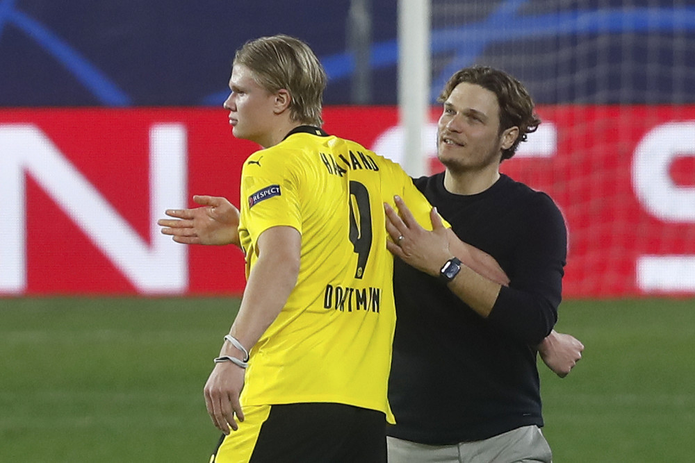 带来了新的 带来了新的